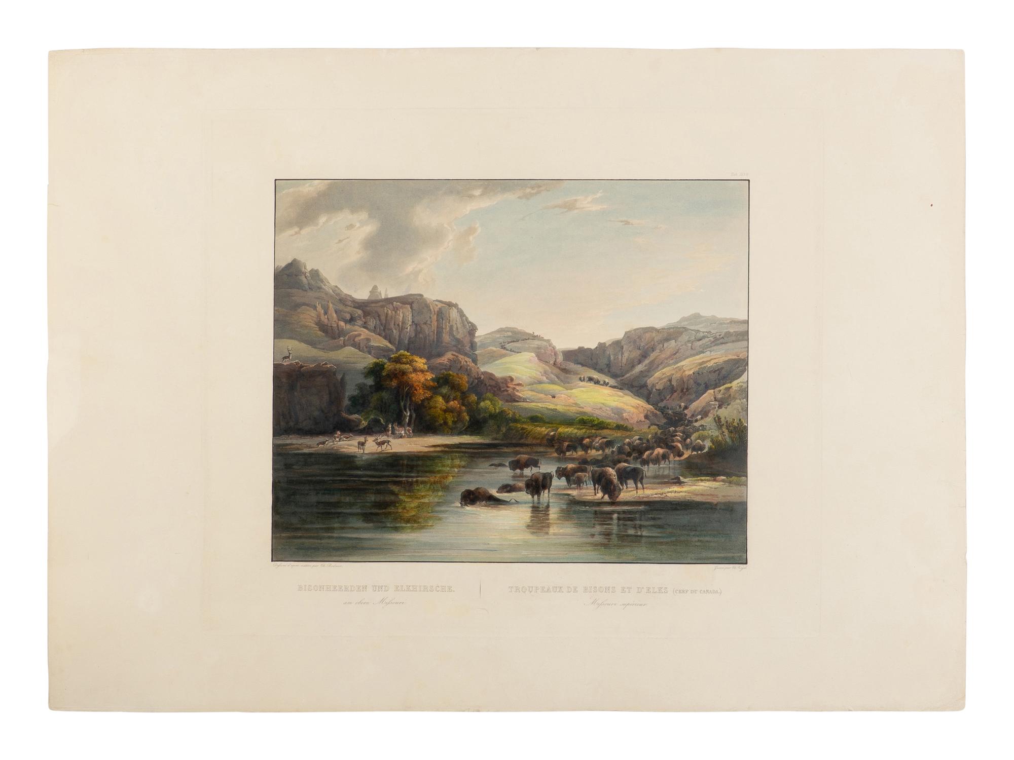 BODMER, Karl (1809-1893) Herds of Bisons and Elks on the upper Missouri (Tab. 47).