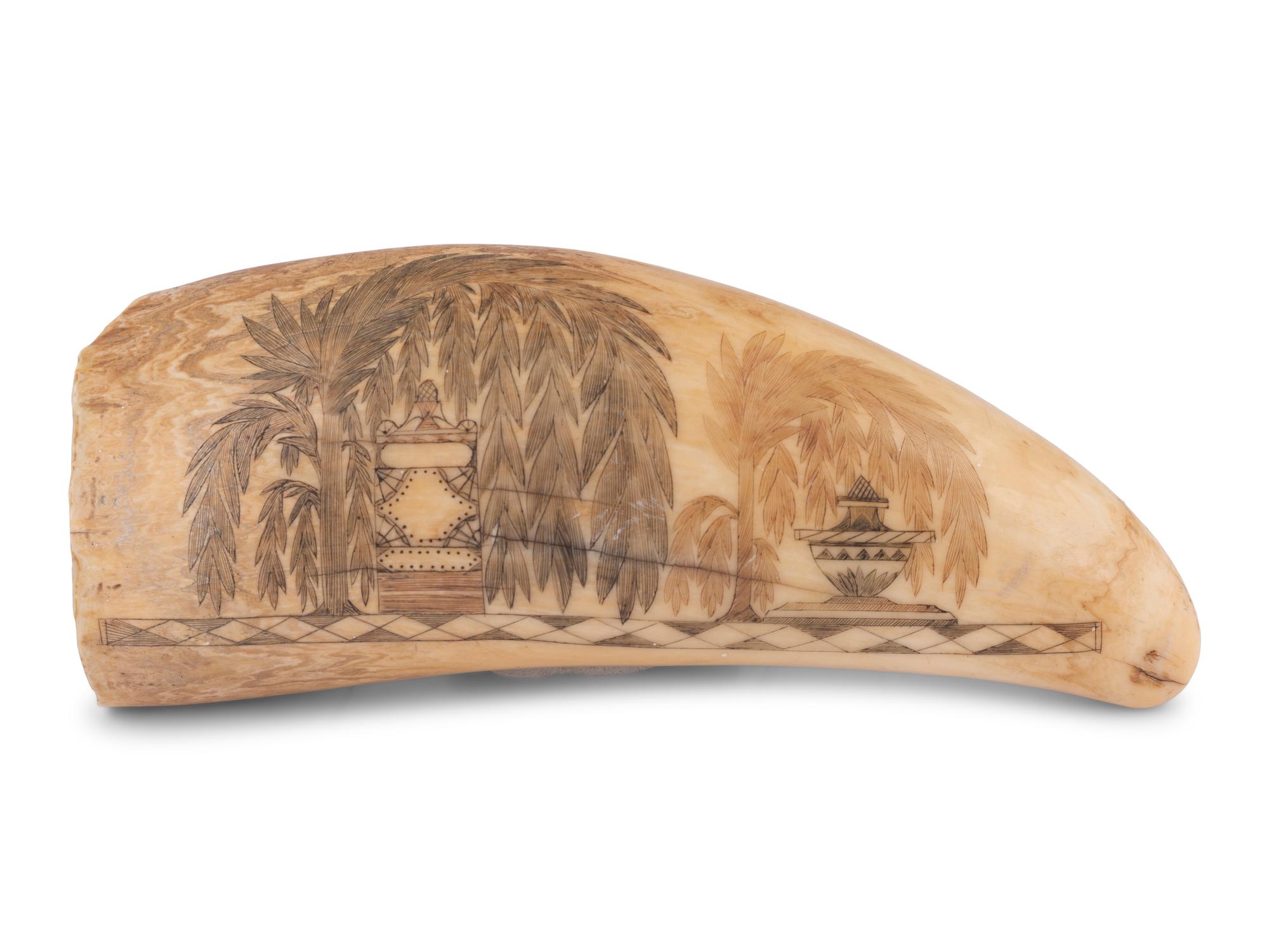 A Scrimshaw Tooth with Whaling Scene