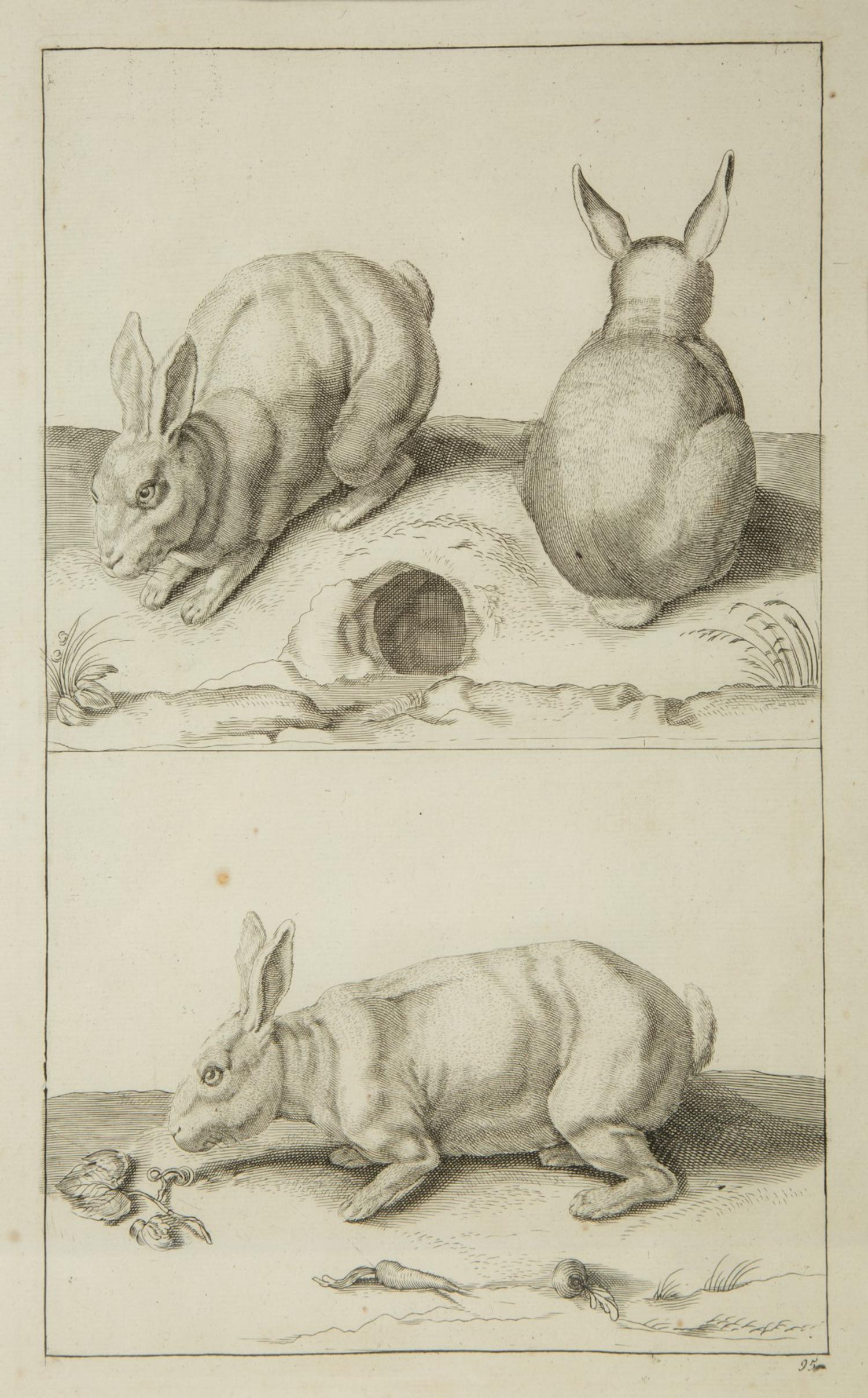 A Group of Ten Framed Continental Engravings — 18TH/19TH CENTURY