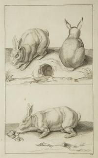 A Group of Ten Framed Continental Engravings — 18TH/19TH CENTURY