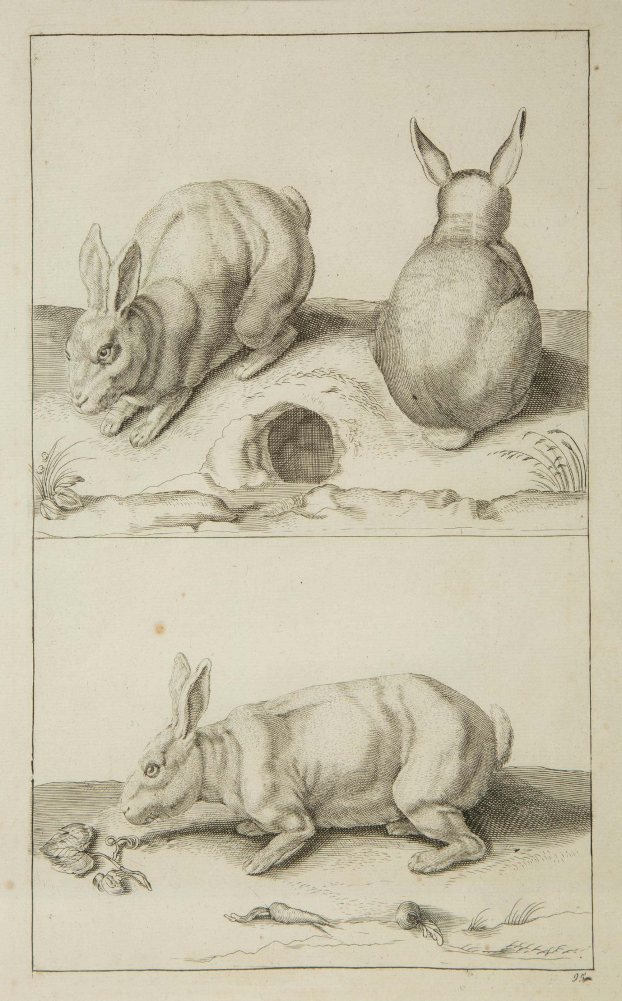 A Group of Ten Framed Continental Engravings — 18TH/19TH CENTURY
