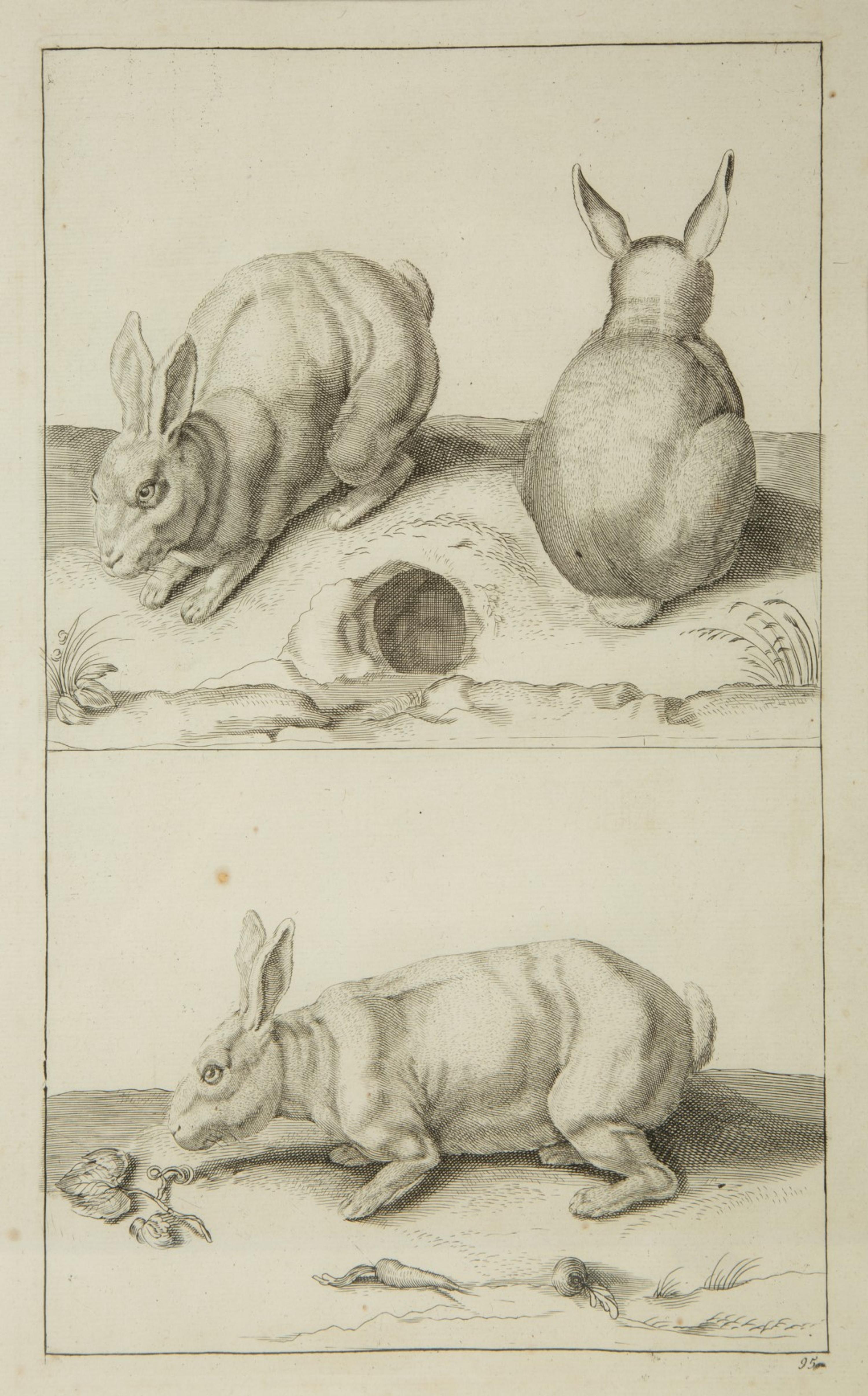 A Group of Ten Framed Continental Engravings — 18TH/19TH CENTURY
