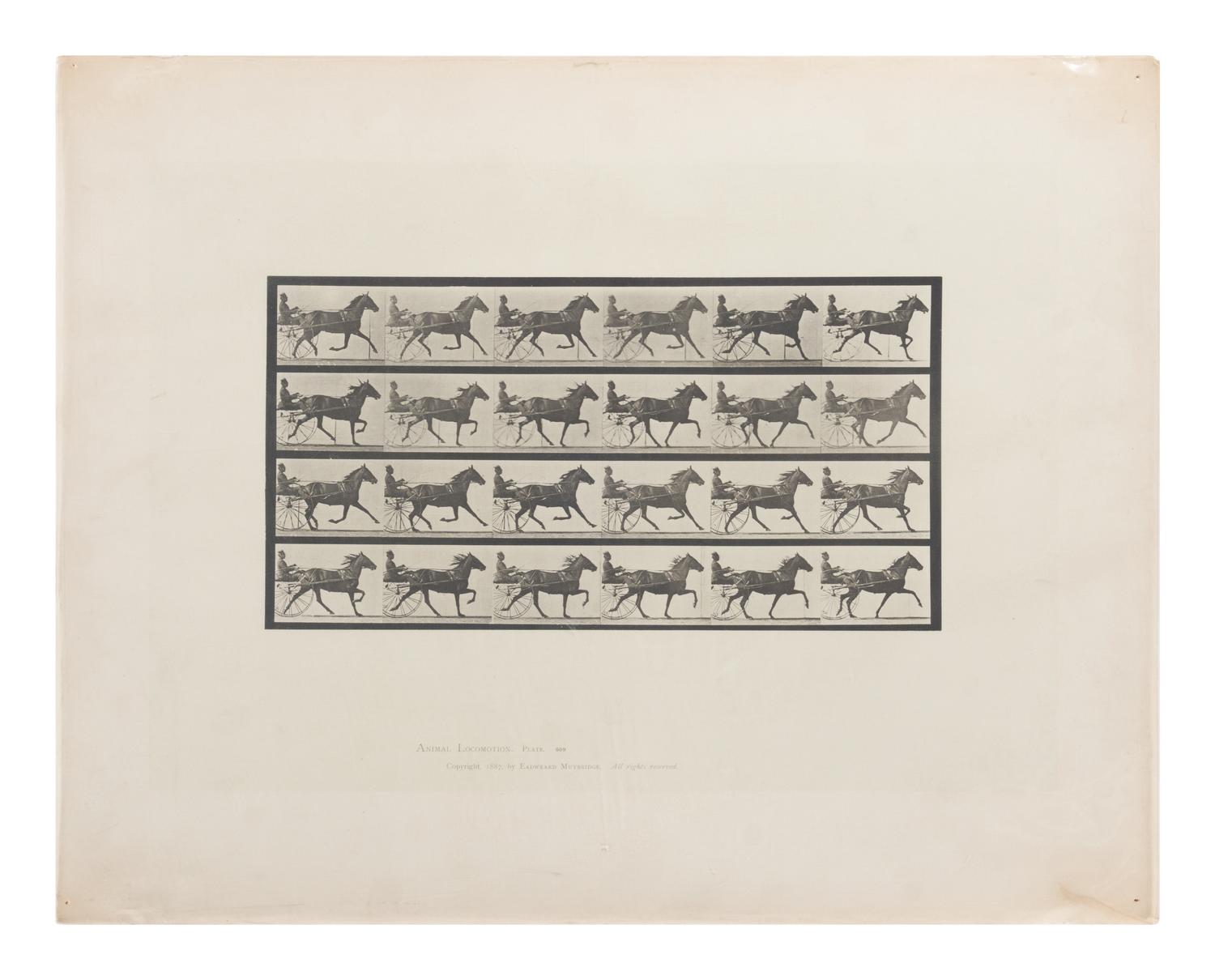 15 Plates from Animal Locomotion , 1887