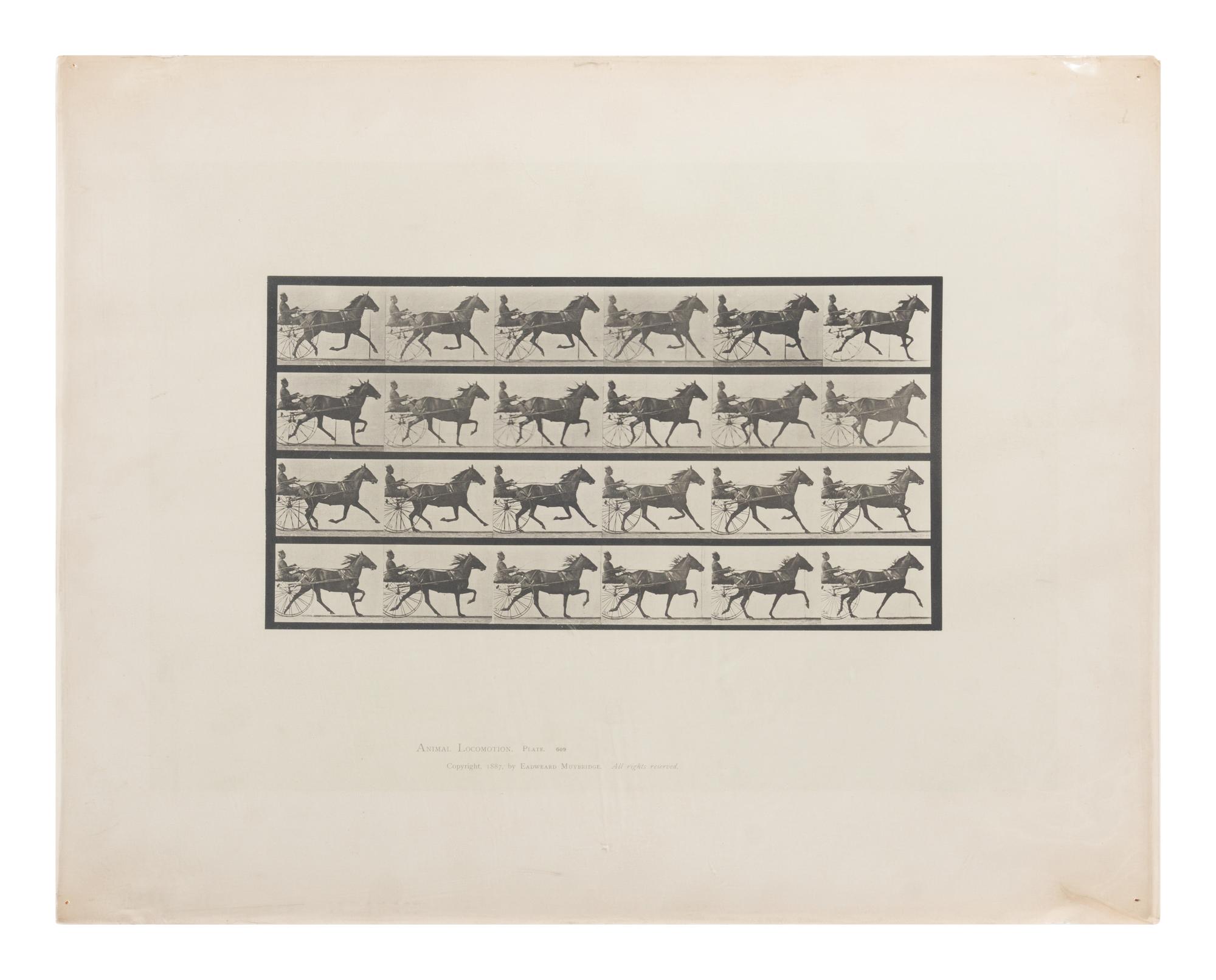 15 Plates from Animal Locomotion , 1887