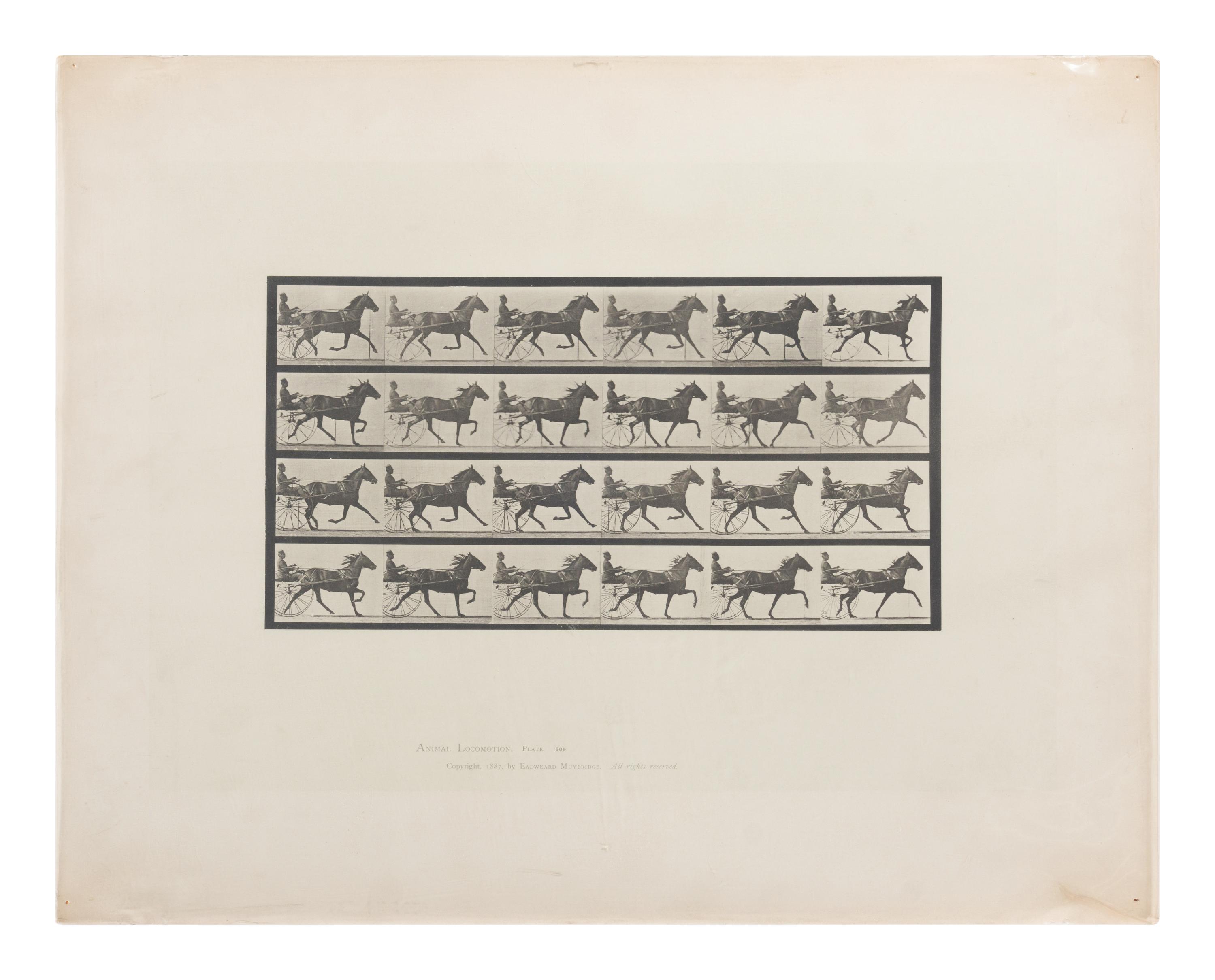 15 Plates from Animal Locomotion , 1887