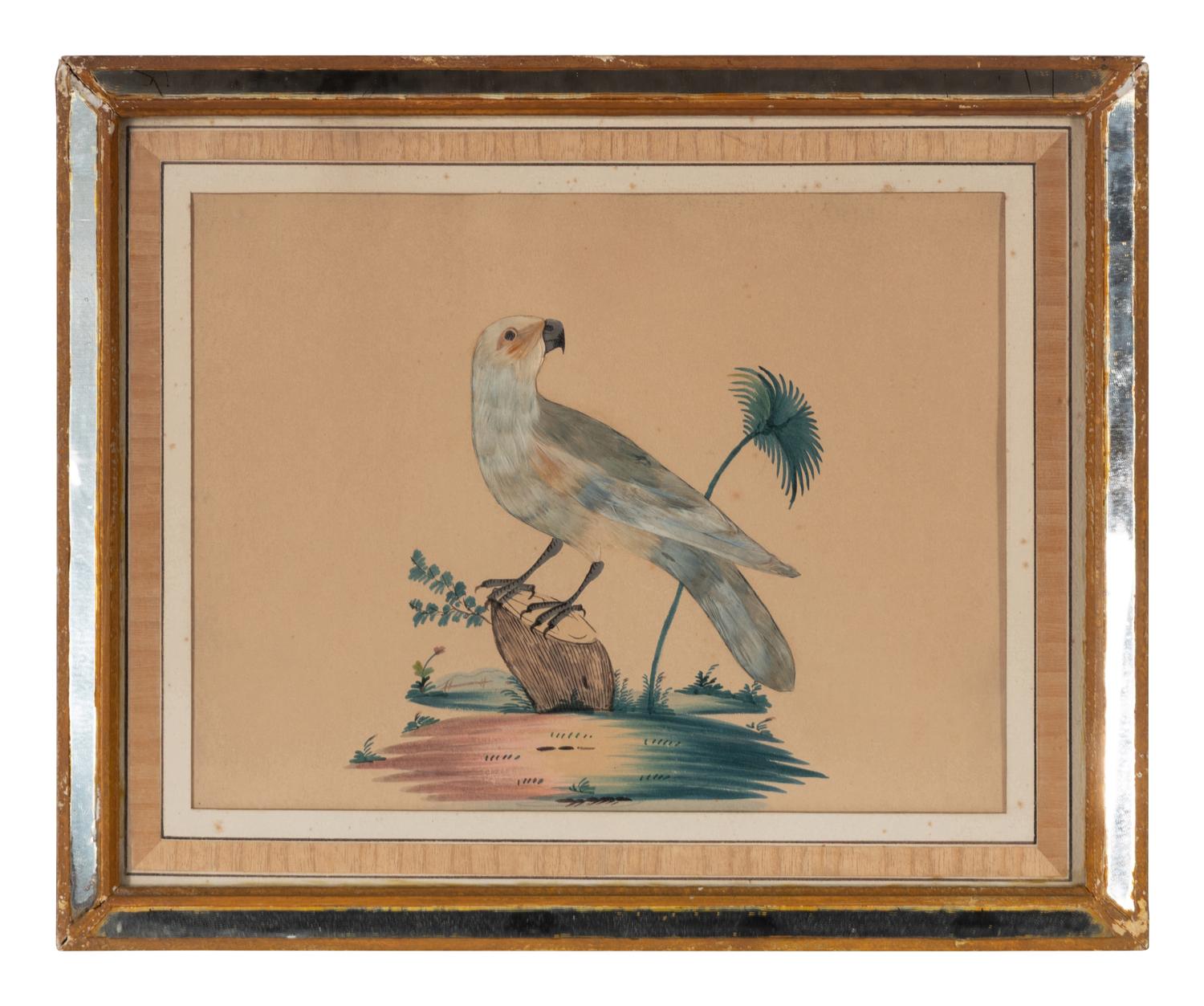 Three Illustrations of Birds