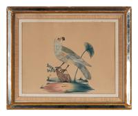 Three Illustrations of Birds