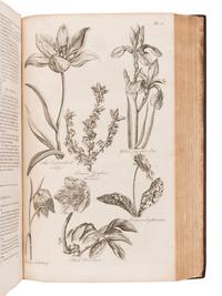 HALE, Thomas (fl. 1750). Eden: or, a Compleat Body of Gardening .... London: for T. Osborne, T. Trye, S. Crowder, and H. Woodgate, [1756-]1757.