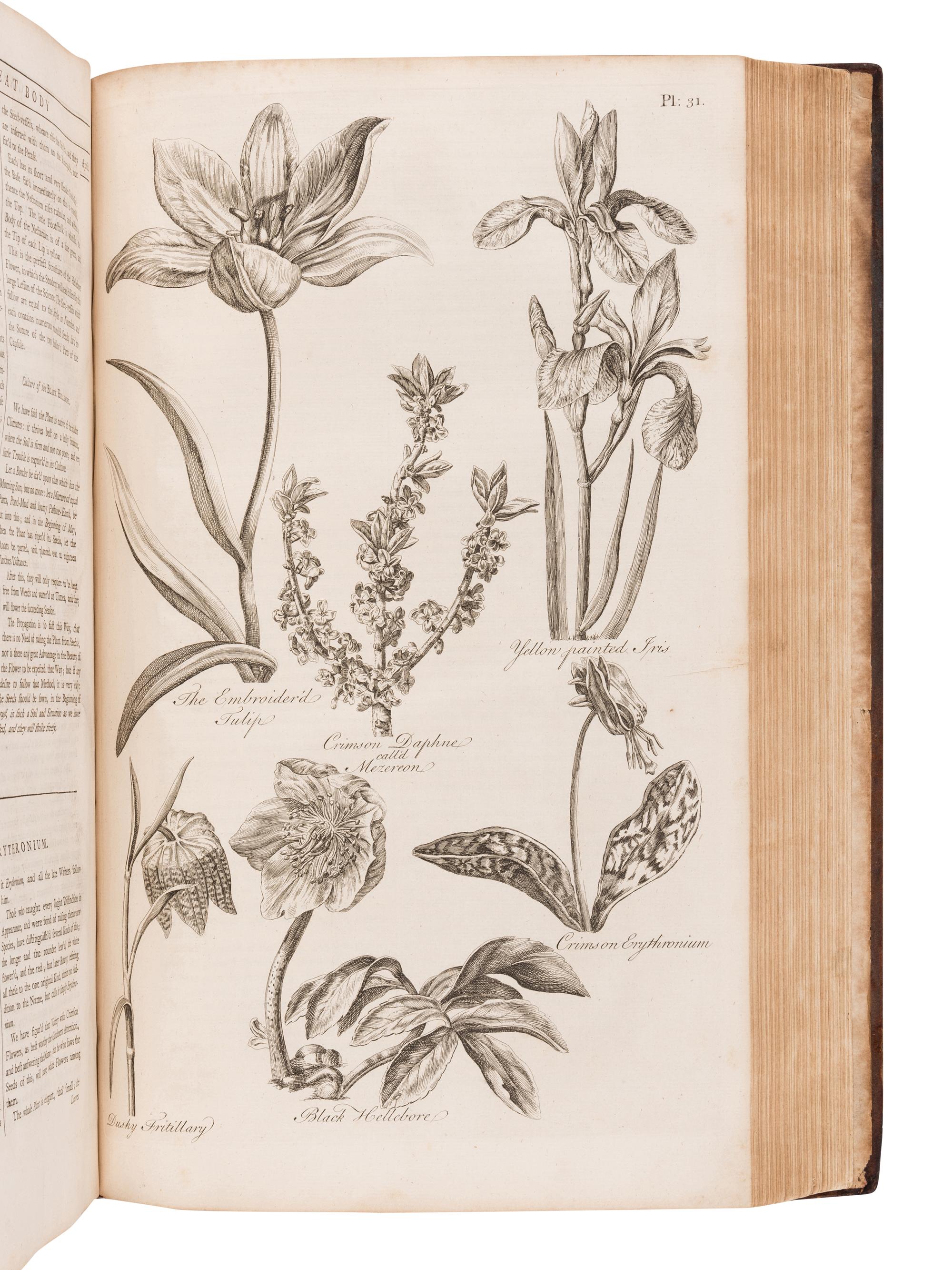 HALE, Thomas (fl. 1750). Eden: or, a Compleat Body of Gardening .... London: for T. Osborne, T. Trye, S. Crowder, and H. Woodgate, [1756-]1757.