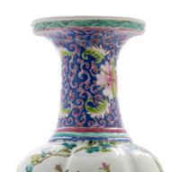 A Chinese Famille Rose Porcelain Vase
