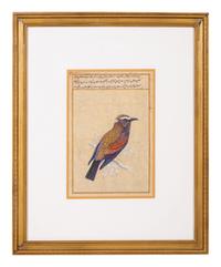 Four Indian and Islamic Miniature Paintings Depicting Birds