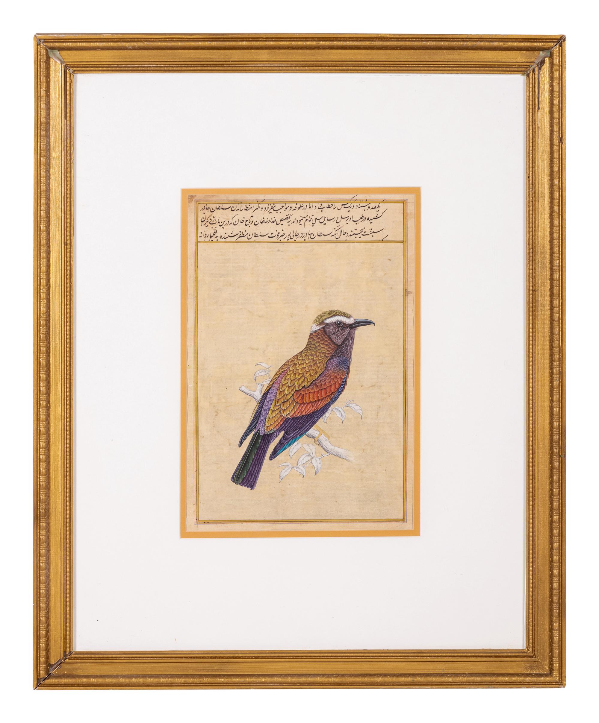 Four Indian and Islamic Miniature Paintings Depicting Birds