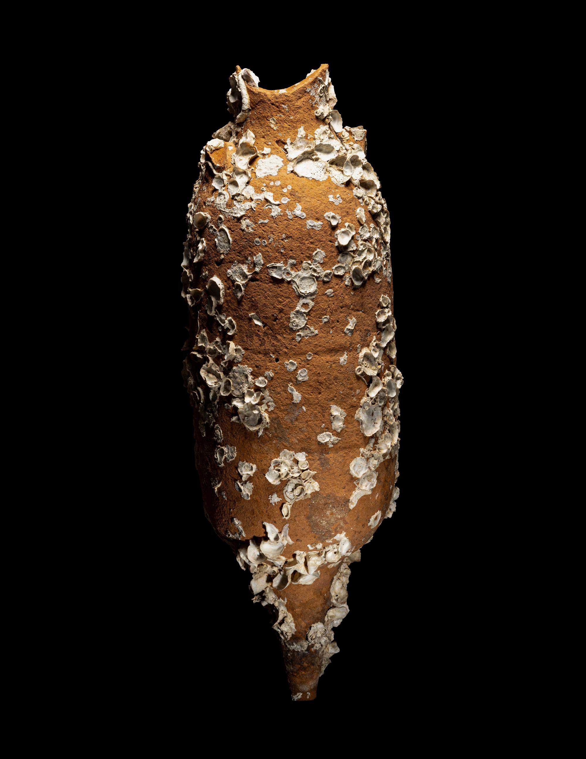 A Roman Terracotta Export Amphora with Marine Encrustation