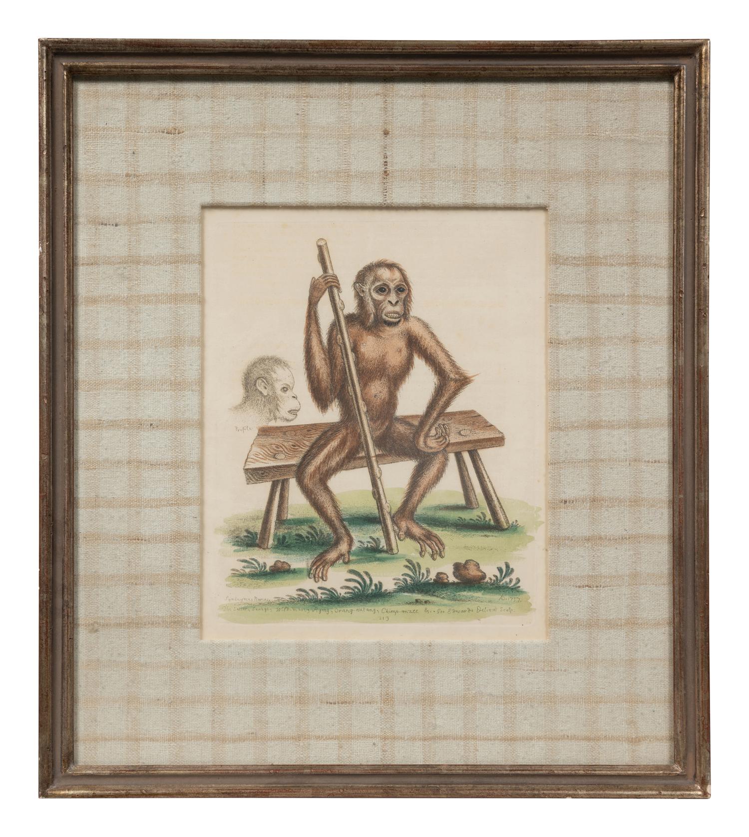 A Group of Six Continental Engravings Depicting Primates (Second Half 19th Century)