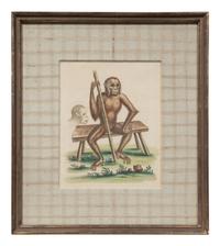 A Group of Six Continental Engravings Depicting Primates (Second Half 19th Century)