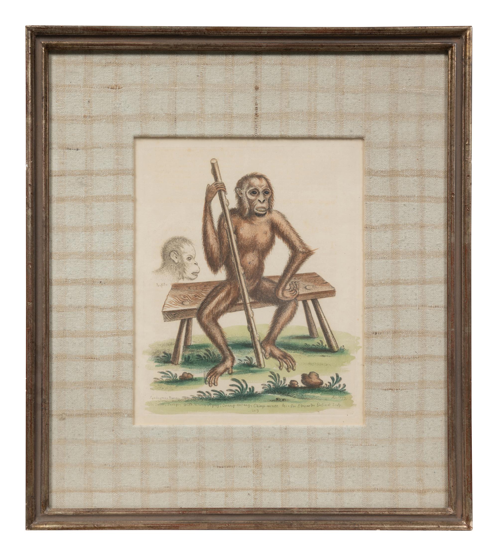 A Group of Six Continental Engravings Depicting Primates (Second Half 19th Century)