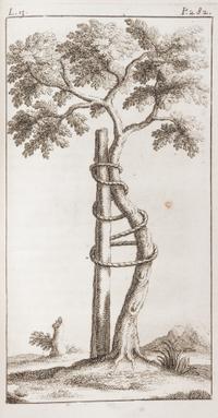 (ORTHOPEDICS) ANDRY DE BOISREGARD, NICOLAS. L'Orthopedie, ou l'art de..corriger dans les enfants, les difformites... Paris, 1741. 1st e