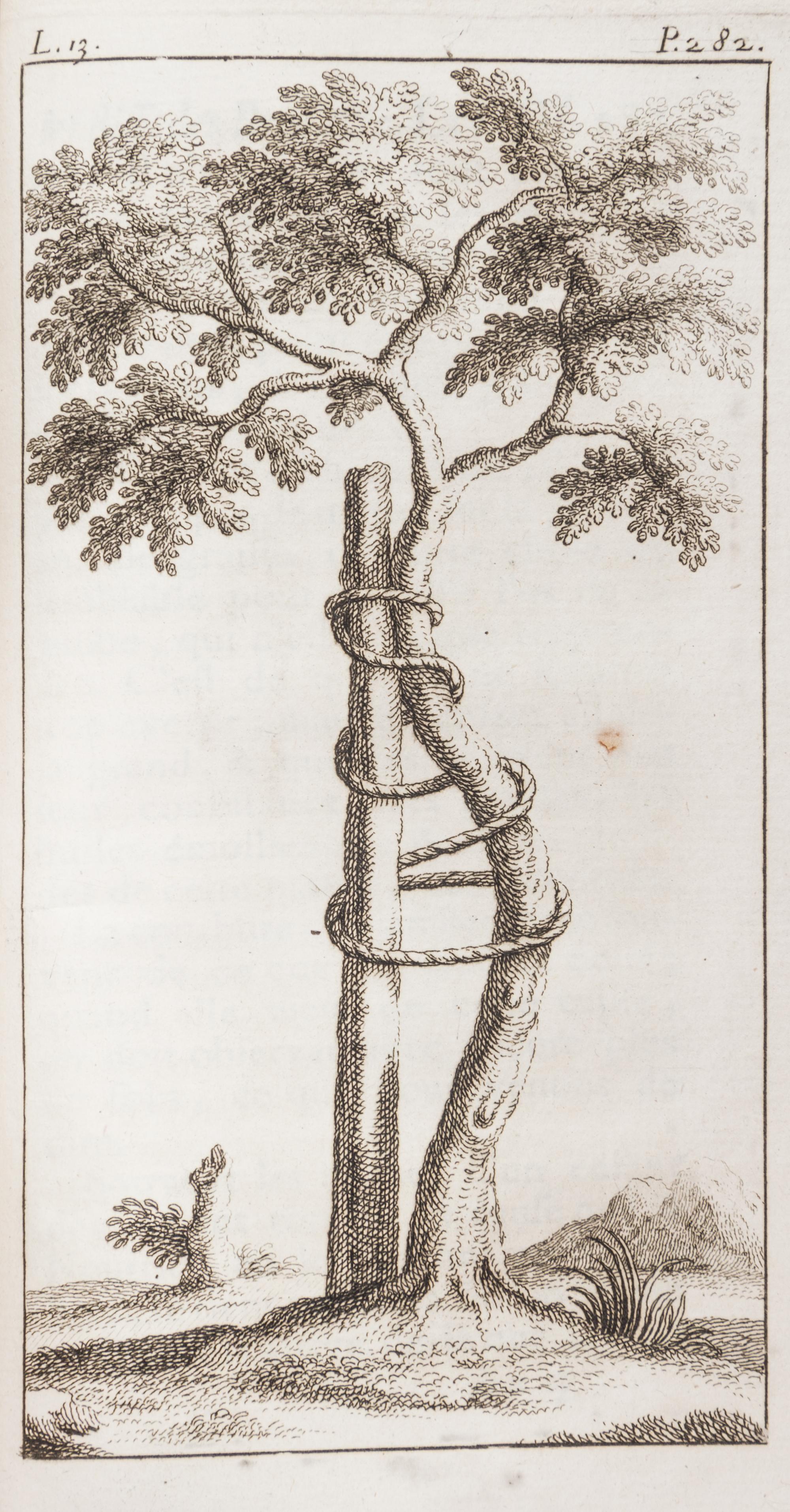 (ORTHOPEDICS) ANDRY DE BOISREGARD, NICOLAS. L'Orthopedie, ou l'art de..corriger dans les enfants, les difformites... Paris, 1741. 1st e