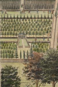 An English Hand-Colored Engraving
