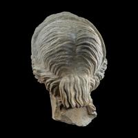 A Roman Marble Head of a Goddess