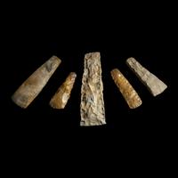 Five Neolithic Flint Thin and Square-Butted Axes