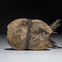 Stone Fetish, Frog