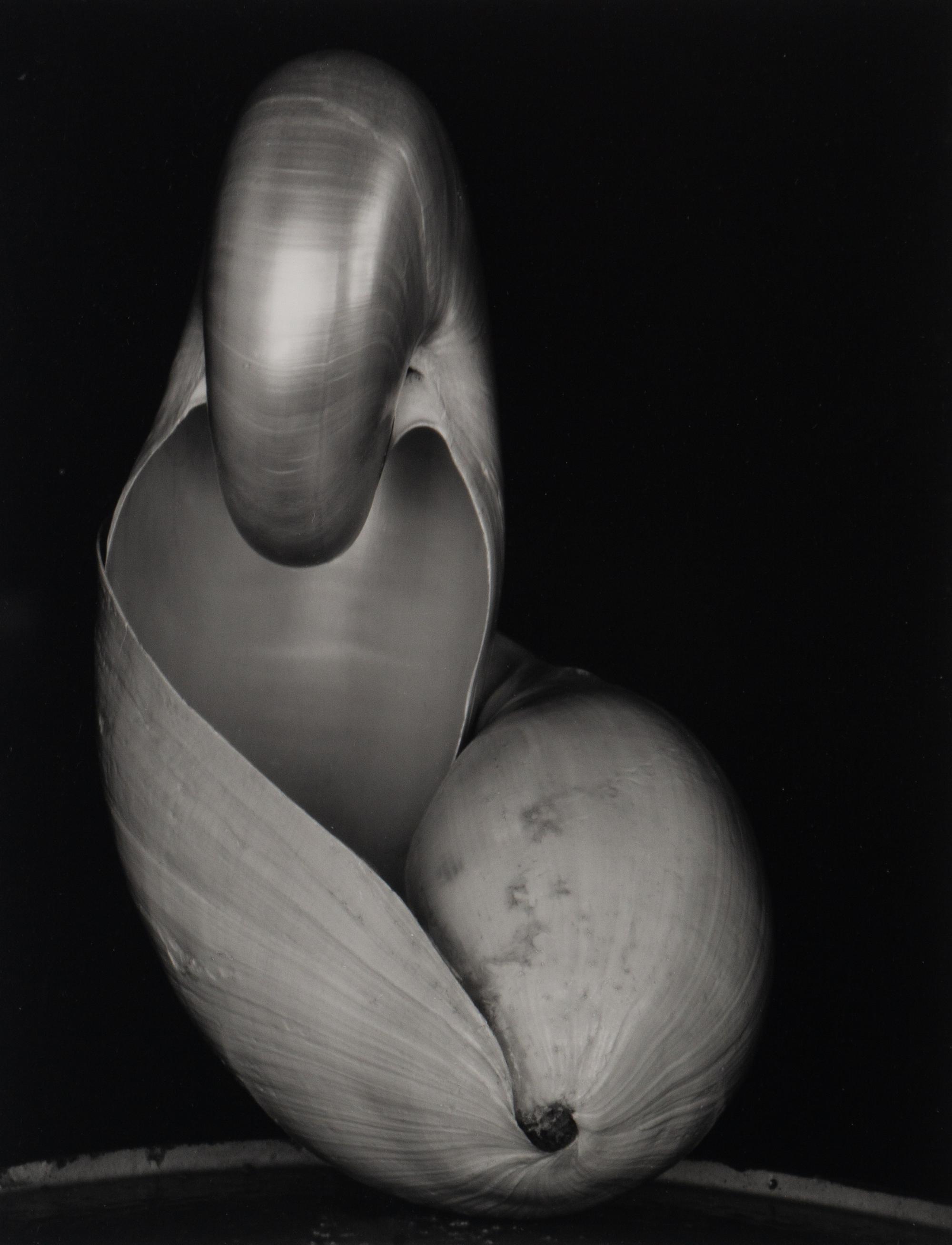 Shells, 1927