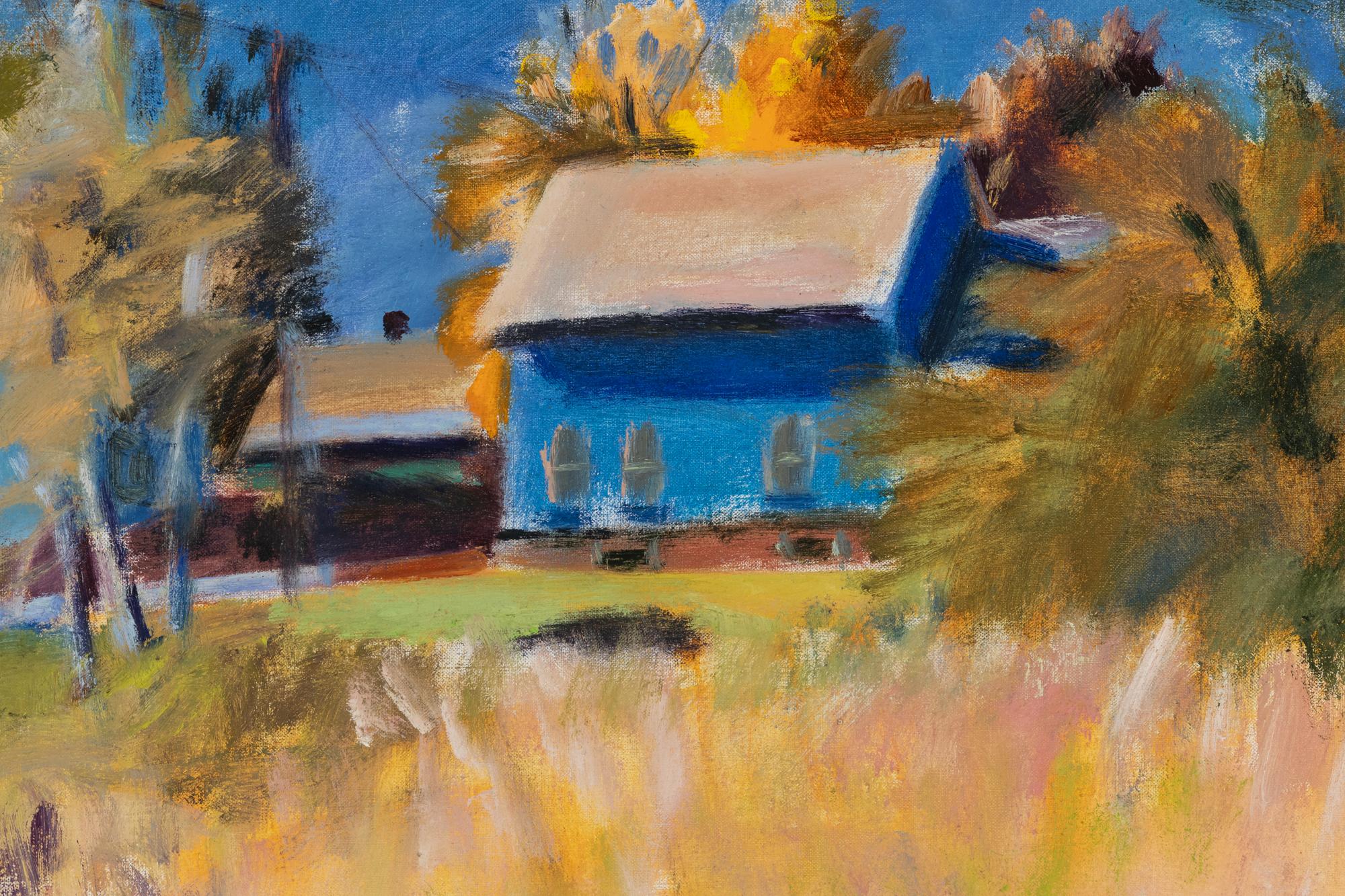 The Sky Colored House