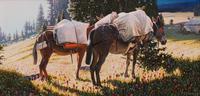 A Tulip and a Rose , 1997