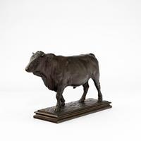 Bull