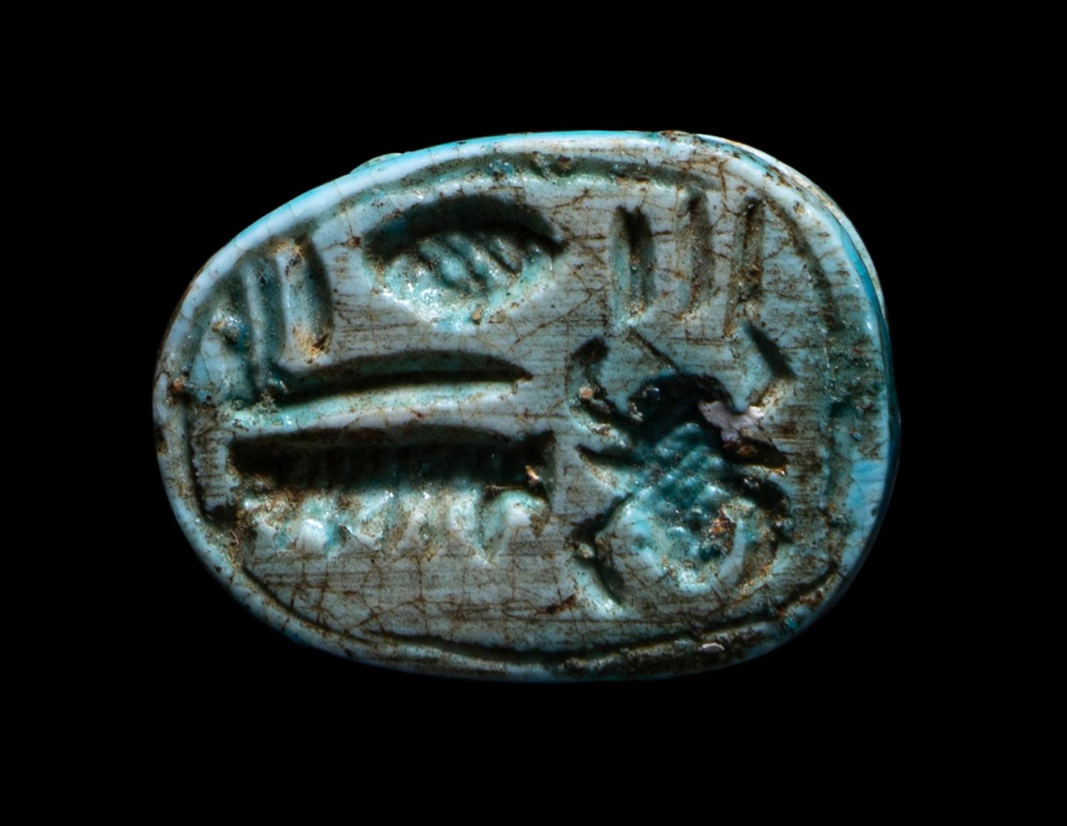 An Egyptian Faience Frog Scaraboid