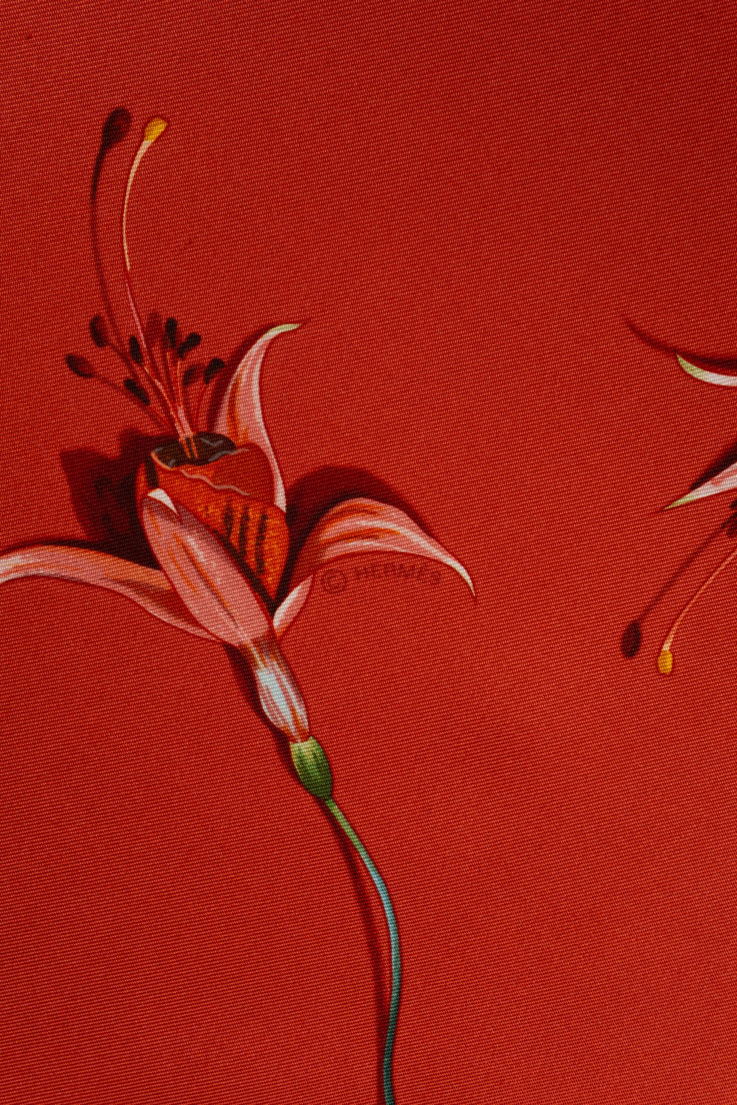 Two Hermès Scarves