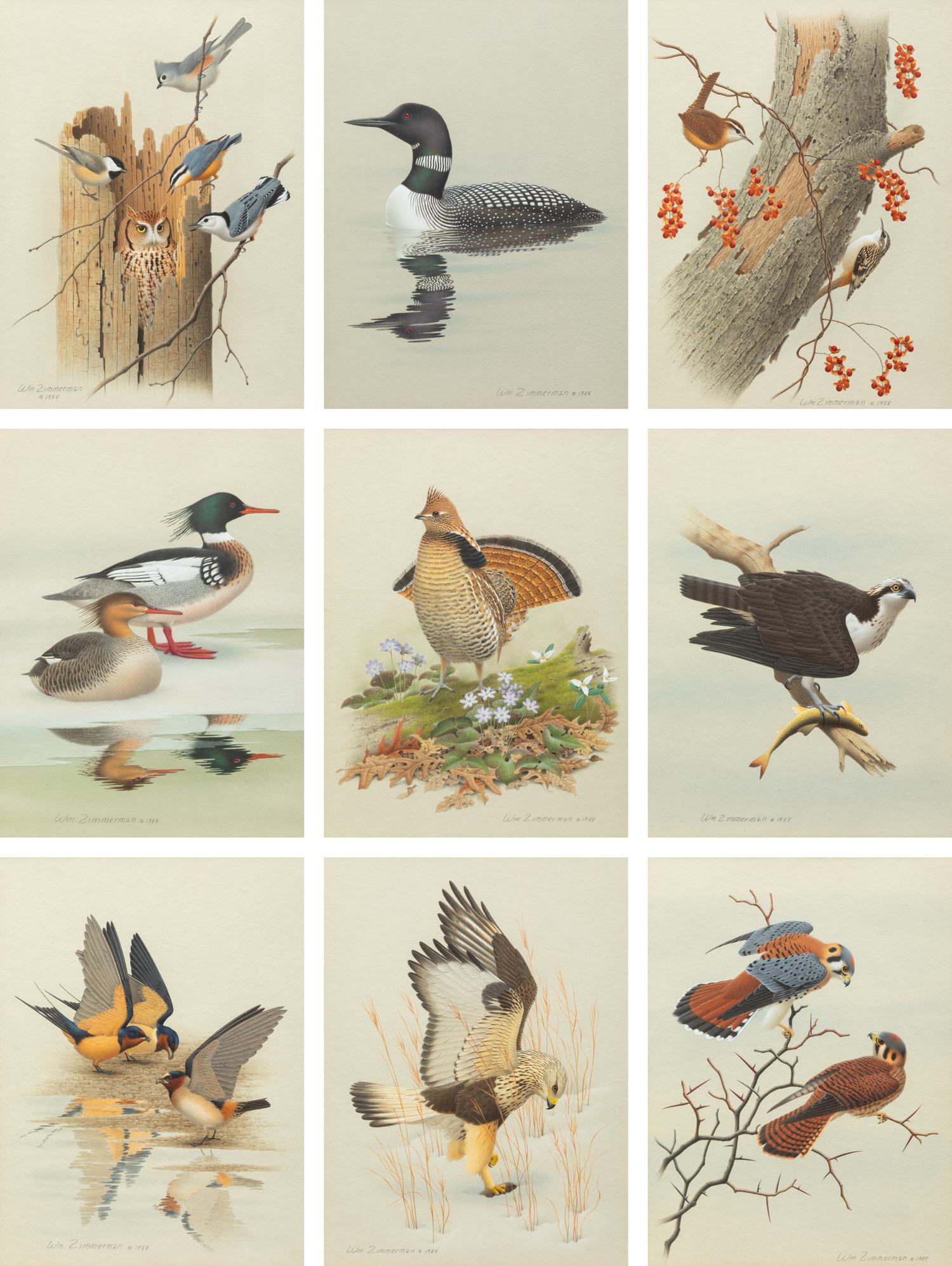 Group of Nine Works, American Bird Series, 1988