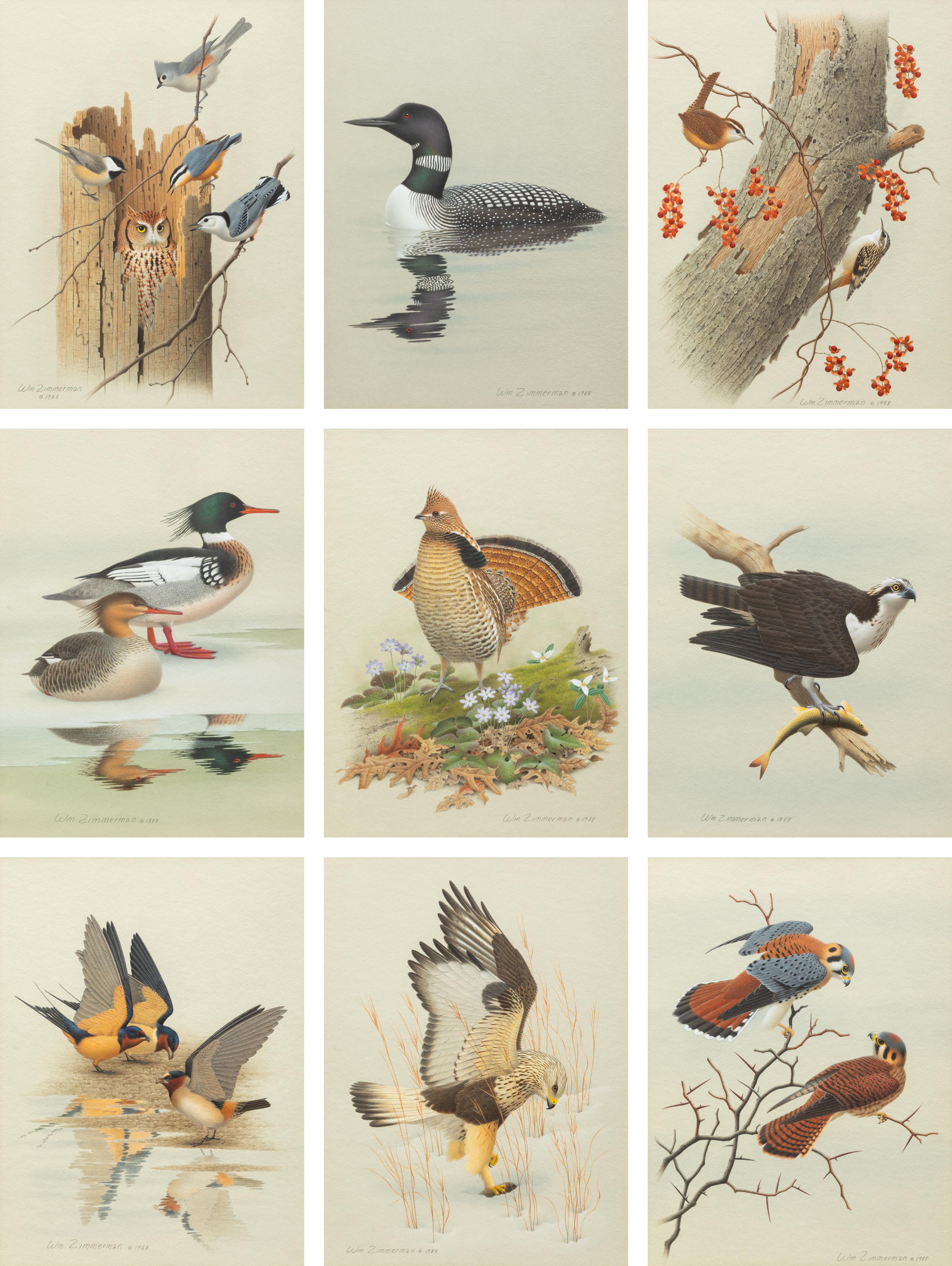 Group of Nine Works, American Bird Series, 1988