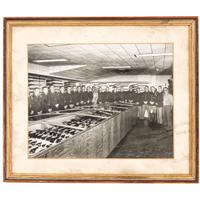 [EARLY PHOTOGRAPHY - MILITARY]. A collection of images featuring military subjects highlighted by regimental group shot, including:
