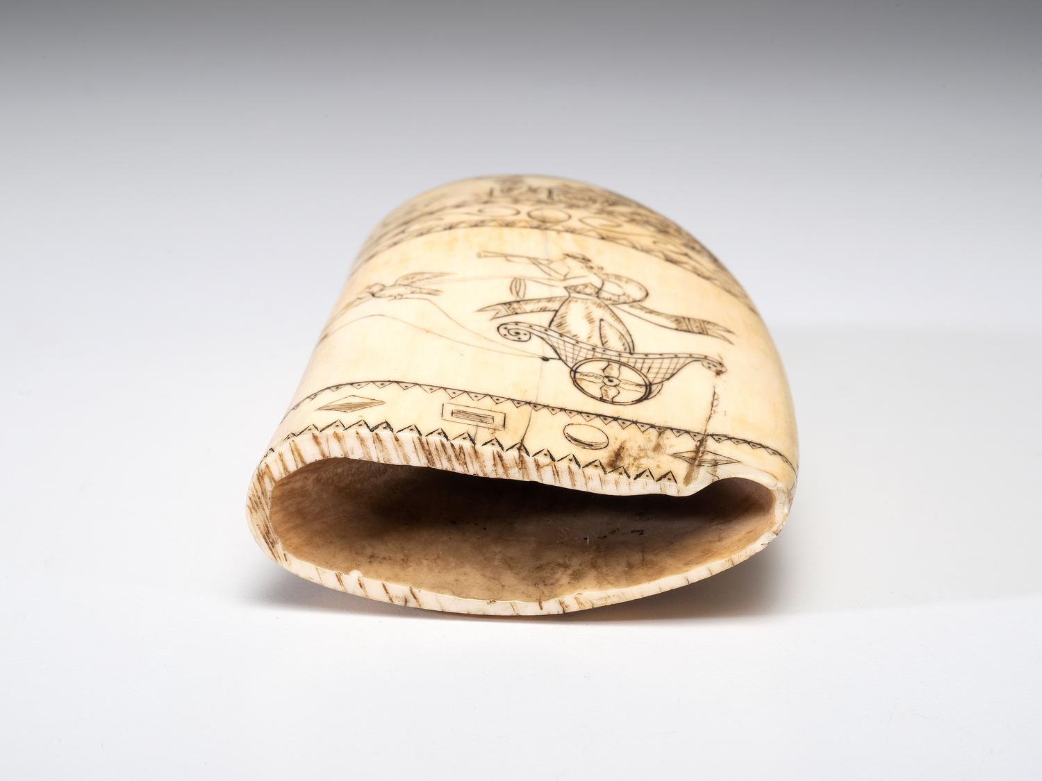 A Scrimshaw Sperm Whale's Tooth