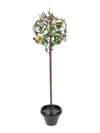 A Painted Tole Lemon Tree — 20TH CENTURY