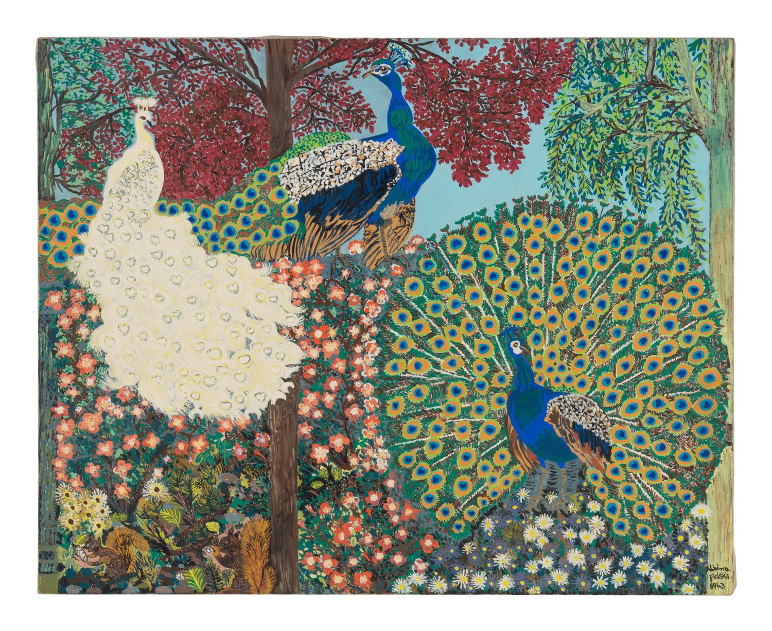 Peacocks , 1963