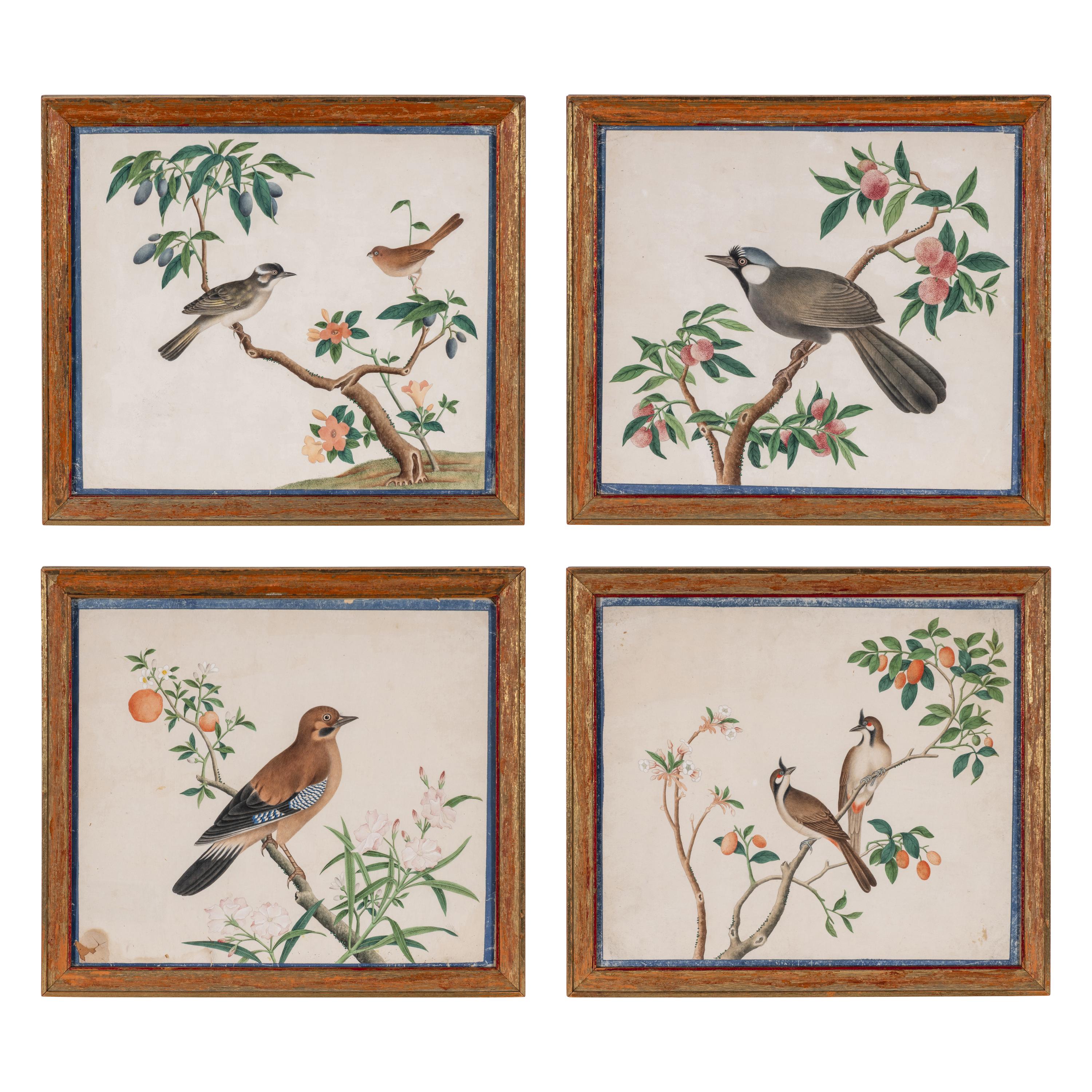 A Set of Four Chinese Watercolor Paintings