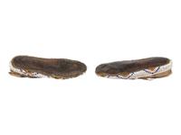 Northern Plains Beaded Hide Moccasins