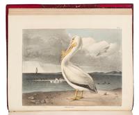 DOUGHTY, John and Thomas (1793-1856). The Cabinet of Natural History and American Rural Sports. Philadelphia: 1830-32-33.