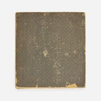 A Chinese ink rubbing album: Yuti Mianhua tu 御題棉花圖拓片