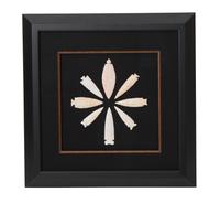Six Framed Groups of Arrowheads Height 13 1/2 x width 13 1/2 inches (each)