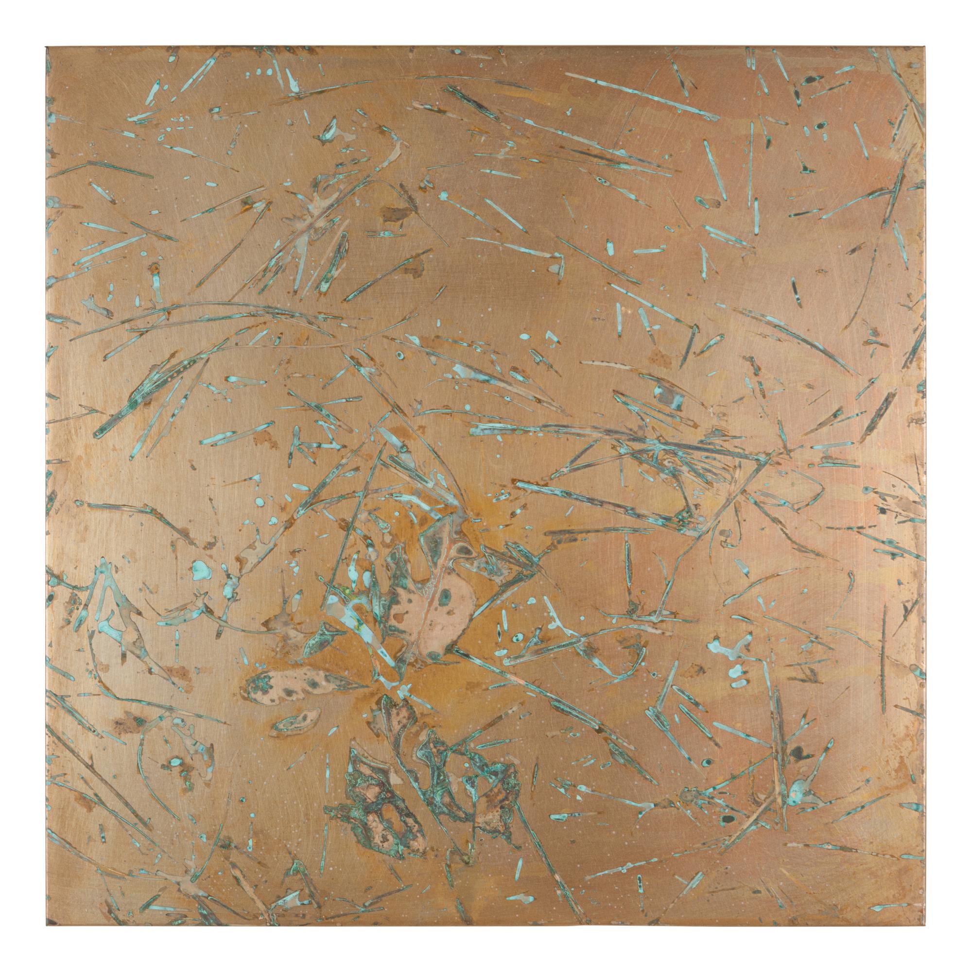 From Forest Mapping Series
