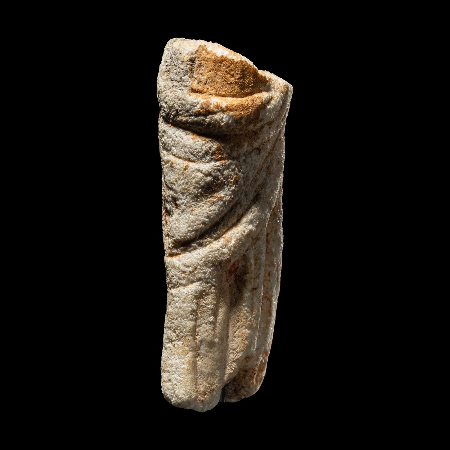 A Roman Marble Torso