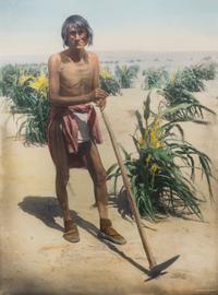 Five Detroit Photographic Company Chromolithographs Largest: 30 1/2 x 25 inches.