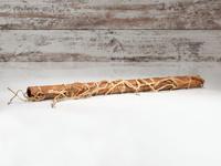 Plains Courting Flute