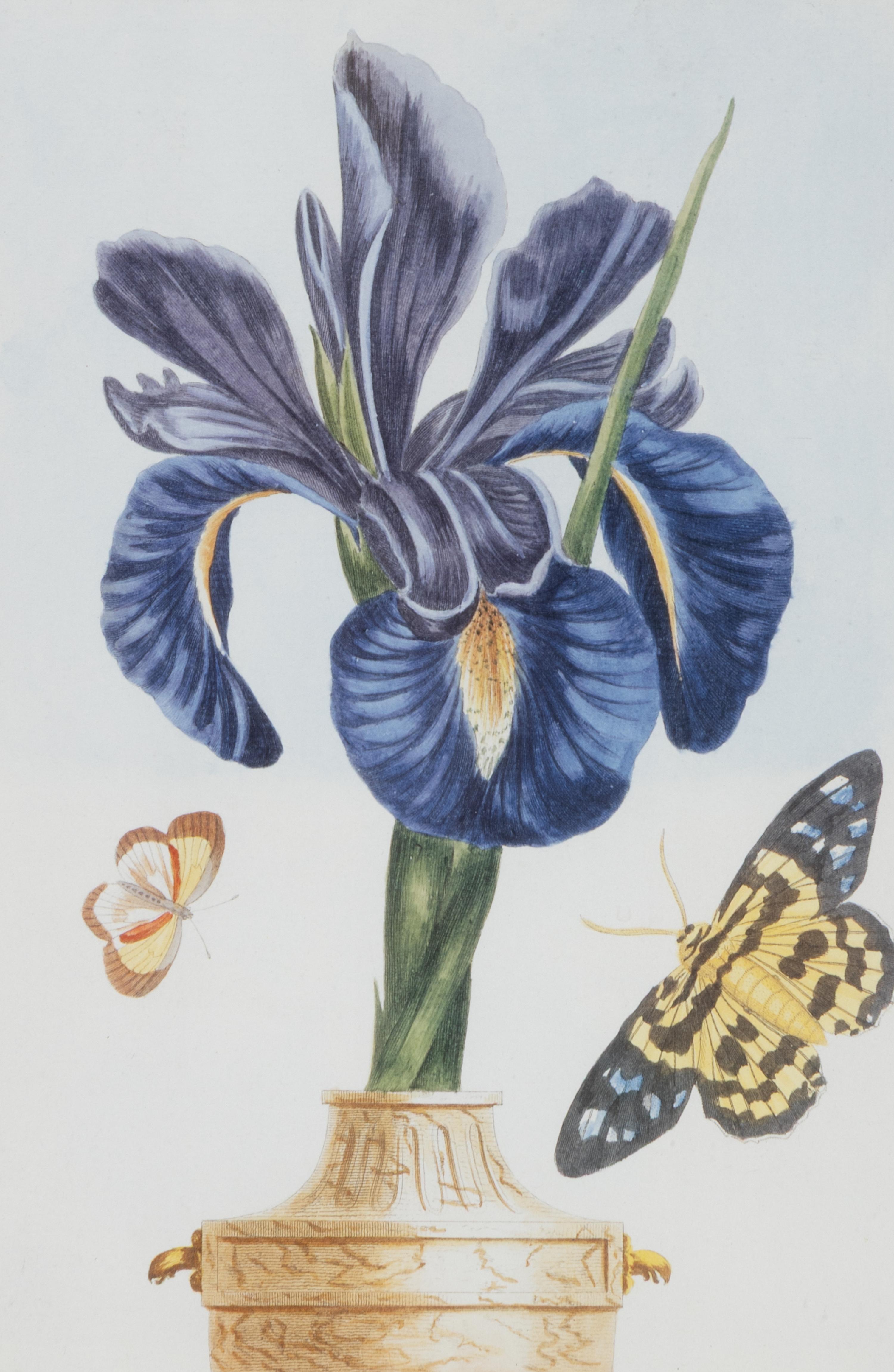 A Set of Four Botanical Prints