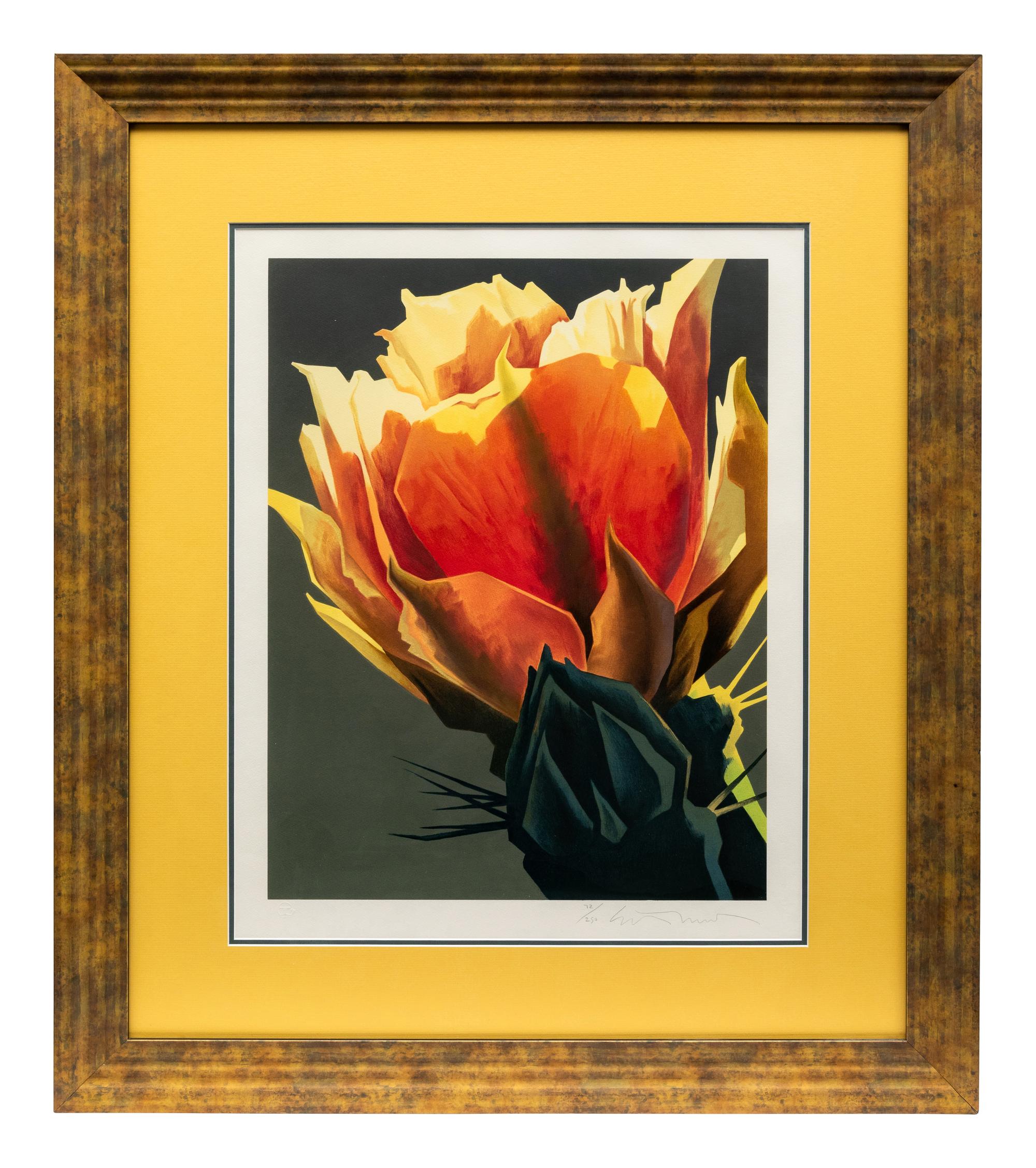 La Flora Roja, editon 72/250