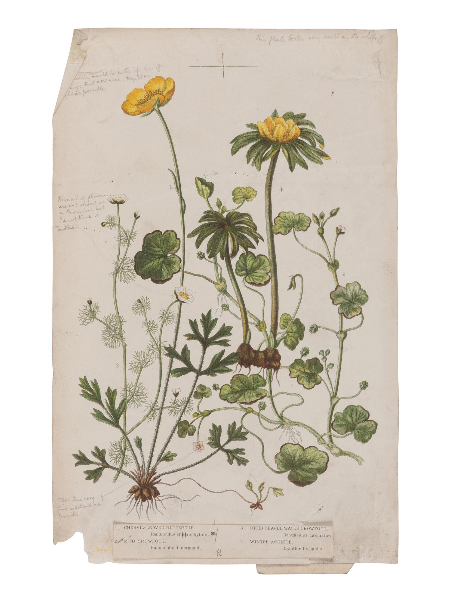 [NATURAL HISTORY]. KIRBY, William Forsell (1844-1912), et al. Lloyd’s Natural History... London: Edward Lloyd, 1896-97.